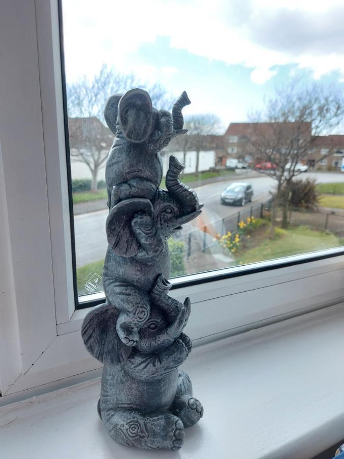 Teddy Bears' 3-Bedroom Maisonette Saltcoats Bagian luar foto